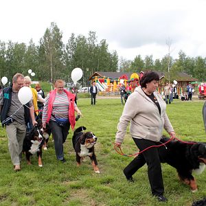 IMG_8579