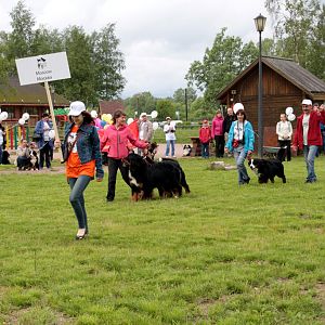 IMG_8583