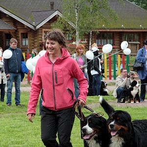 IMG_8584