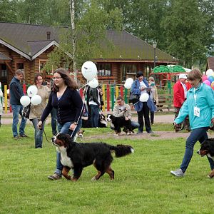 IMG_8590