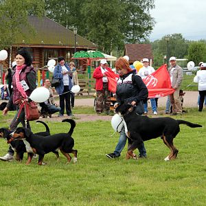 IMG_8593