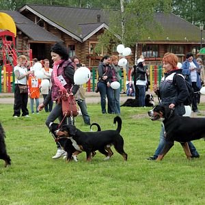 IMG_8594