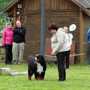 IMG_8596