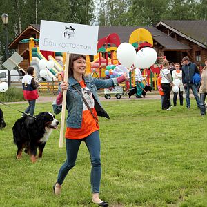 IMG_8604