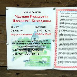 IMG_8968