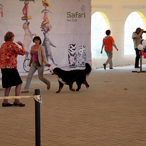 IMG_8980
