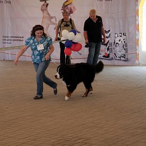 IMG_8984