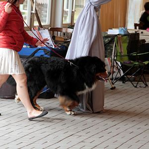 IMG_8986