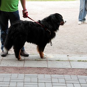 IMG_8990