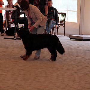 IMG_8994