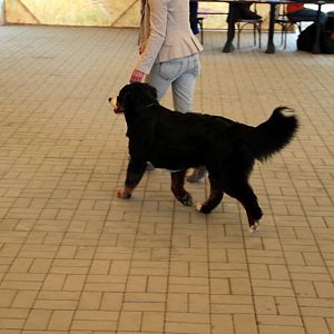 IMG_8996
