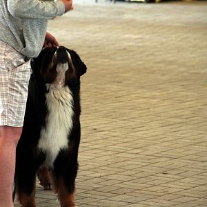 IMG_9004
