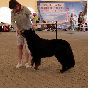 IMG_9012