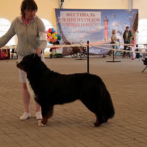 IMG_9015