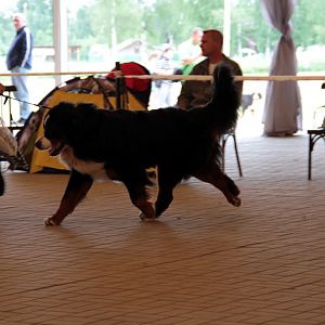IMG_9016