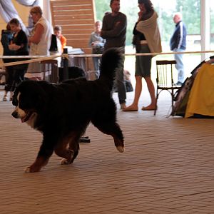 IMG_9019