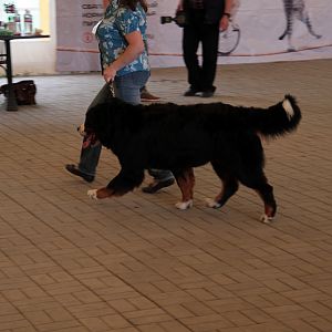 IMG_9046
