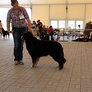 IMG_9068