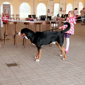 IMG_9077