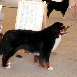 IMG_9085