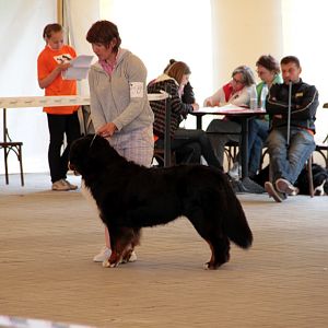 IMG_9089