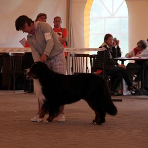 IMG_9098
