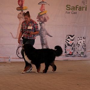 IMG_9101