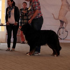 IMG_9102