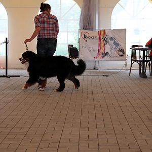 IMG_9116
