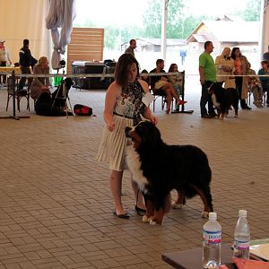 IMG_9124
