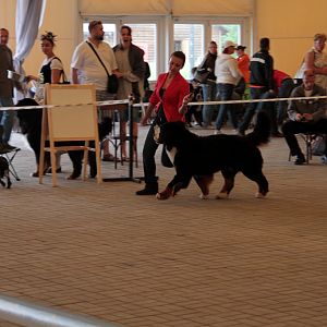 IMG_9127