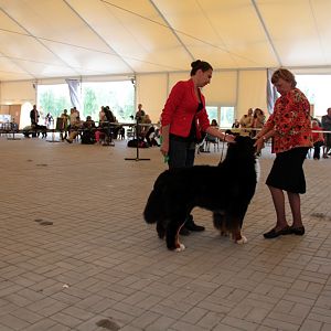 IMG_9129