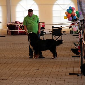IMG_9133
