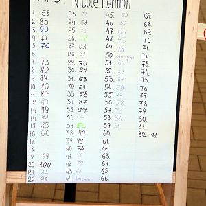 IMG_9135