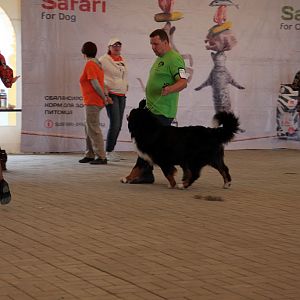 IMG_9140