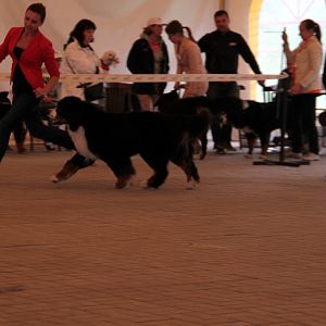 IMG_9141