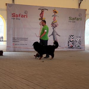 IMG_9145