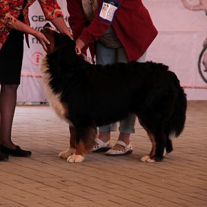 IMG_9149