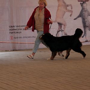 IMG_9159