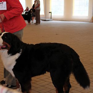 IMG_9162