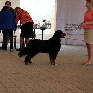 IMG_9163