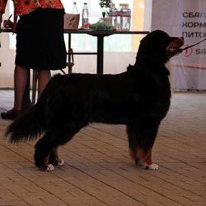 IMG_9166