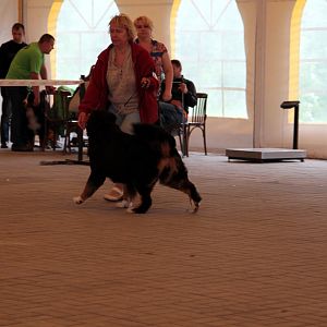 IMG_9174