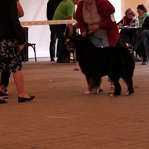 IMG_9175
