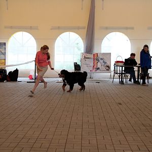 IMG_9186
