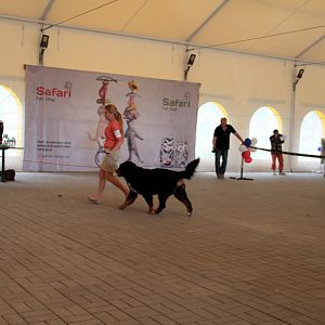 IMG_9193