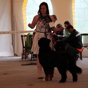 IMG_9196
