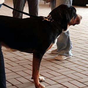 IMG_9198