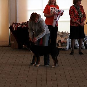 IMG_9203