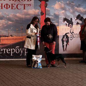 IMG_9236